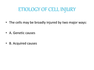 ETIOLOGY OF CELL INJURY
• The cells may be broadly injured by two major ways:
• A. Genetic causes
• B. Acquired causes
 
