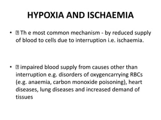 HYPOXIA AND ISCHAEMIA
• Th e most common mechanism - by reduced supply
of blood to cells due to interruption i.e. ischaemia.
• impaired blood supply from causes other than
interruption e.g. disorders of oxygencarrying RBCs
(e.g. anaemia, carbon monoxide poisoning), heart
diseases, lung diseases and increased demand of
tissues
 