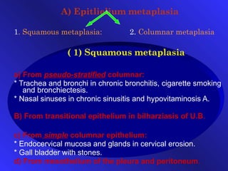 Transitional Vs Simple Columnar Cell injury-necrosis | PPT