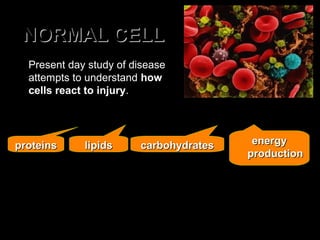 NORMAL CELLNORMAL CELL
• at the subcellular or molecular level.
• all cells share the basic organelles for the synthesis of:
• transport of ions and other substances.
• to understand pathology, review normal structure and
function of cells.
“you cannot appreciate the abnormal
before you understand the normal”
• Present day study of disease
attempts to understand how
cells react to injury.
proteinsproteins lipidslipids carbohydratescarbohydrates energyenergy
productionproduction
 