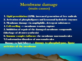 1.1. Lipid peroxidation (LPO), increased generation of free radicals
2. Activation of phospholipases and lysosomal hydrolytic enzymes
3. Membrane damage via amphiphilic, detergent substances
4. Cell swelling → membrane tension, rupture
5. Inhibition of repairof the damaged membrane compounds
(blockage of denovo synthesis)
6. Immune complex influence the membrane macromolecules
7.Conformation disorders of macromolecules
Damage to lipid bilayer → damage to phospholypase, lipase
activities of the membrane
Membrane damageMembrane damage
(main causes)(main causes)
 