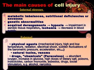 The main causes ofThe main causes of cellcell injuryinjury
Internal stresses
• metabolic imbalances, nutritional deficiencies ormetabolic imbalances, nutritional deficiencies or
excessesexcesses
• genetic abnormalitiesgenetic abnormalities
• acquired derangementsacquired derangements →→ hypoxiahypoxia →→ impairment inimpairment in
aerobic tissue respirationaerobic tissue respiration, ischemia, ischemia →→ decrease in blooddecrease in blood
supplysupply
External
•• physical agents (physical agents ( mechanical injury, high and lowmechanical injury, high and low
temperature, radiation, electrical shock, sudden fluctuations oftemperature, radiation, electrical shock, sudden fluctuations of
the barometric pressure, acceleration, etcthe barometric pressure, acceleration, etc…)…)
•• natural toxins, venomsnatural toxins, venoms
•• drugs, "chemicals" (Paracelsus)drugs, "chemicals" (Paracelsus) →→ abundantabundant
oxygen, increase in glucose, high doses of dietary salt, poisons,oxygen, increase in glucose, high doses of dietary salt, poisons,
insecticides, carbon monoxide, asbestos, drugs, socialinsecticides, carbon monoxide, asbestos, drugs, social
stimulators, e.g. alcohol, narcotics.stimulators, e.g. alcohol, narcotics.
 