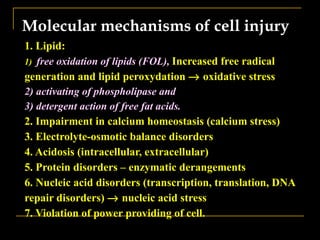1. Lipid:
1) free oxidation of lipids (FOL), Increased free radical
generation and lipid peroxydation → oxidative stress
2) activating of phospholipase and
3) detergent action of free fat acids.
2. Impairment in calcium homeostasis (calcium stress)
3. Electrolyte-osmotic balance disorders
4. Acidosis (intracellular, extracellular)
5. Protein disorders – enzymatic derangements
6. Nucleic acid disorders (transcription, translation, DNA
repair disorders) → nucleic acid stress
7. Violation of power providing of cell.
Molecular mechanisms of cell injuryMolecular mechanisms of cell injury
 