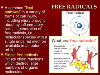 FREE RADICALSFREE RADICALS A commonA common "final"final
pathway"pathway" in a variety ofin a variety of
forms of cell injury,forms of cell injury,
including injury broughtincluding injury brought
about by inflammatoryabout by inflammatory
cells, is generation ofcells, is generation of
free radicals, i.e.,free radicals, i.e.,
molecular species with amolecular species with a
single unpaired electronsingle unpaired electron
available in an outeravailable in an outer
orbital.orbital.
 Single free radicalsSingle free radicals
initiate chain reactionsinitiate chain reactions
which destroy largewhich destroy large
numbers of organicnumbers of organic
moleculesmolecules
 
