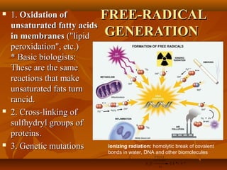 FREE-RADICALFREE-RADICAL
GENERATIONGENERATION
 1.1. Oxidation ofOxidation of
unsaturated fatty acidsunsaturated fatty acids
in membranesin membranes ("lipid("lipid
peroxidation", etc.)peroxidation", etc.)
* Basic biologists:* Basic biologists:
These are the sameThese are the same
reactions that makereactions that make
unsaturated fats turnunsaturated fats turn
rancid.rancid.
 2. Cross-linking of2. Cross-linking of
sulfhydryl groups ofsulfhydryl groups of
proteins.proteins.
 3. Genetic mutations3. Genetic mutations Ionizing radiation: homolytic break of covalent
bonds in water, DNA and other biomolecules
H 2 O O H + H
io n iz in g
r a d ia t io n
h ν
 