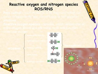 Reactive oxygen and nitrogen species
ROS/RNS
Free radical – each molecule or its fragment, which can
exists independently and contains one or two unpaired
electrons
Reactive oxygen species - species, which contain one or
more oxygen atoms and are much more reactive than
molecular oxygen
ROS/RNS
Free radicals
superoxide radical
hydroperoxyl radical
hydroxyl radical
nitric oxide
hydrogen peroxide
 