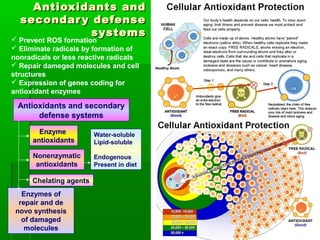 Antioxidants andAntioxidants and
secondary defensesecondary defense
systemssystems
 Prevent ROS formation
 Eliminate radicals by formation of
nonradicals or less reactive radicals
 Repair dameged molecules and cell
structures
 Expression of genes coding for
antioxidant enzymes
Antioxidants and secondary
defense systems
Enzyme
antioxidants
Nonenzymatic
antioxidants
Chelating agents
Enzymes of
repair and de
novo synthesis
of damaged
molecules
Water-soluble
Lipid-soluble
Endogenous
Present in diet
 