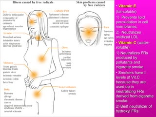 • Vitamin EVitamin E
(fat-soluble)(fat-soluble)
1) Prevents lipid1) Prevents lipid
peroxidation in cellperoxidation in cell
membranes;membranes;
2) Neutralizes2) Neutralizes
oxidized LDLoxidized LDL
• Vitamin CVitamin C (water-(water-
soluble)soluble)
1) Neutralizes FRs1) Neutralizes FRs
produced byproduced by
pollutants andpollutants and
cigarette smokecigarette smoke
• Smokers haveSmokers have 
levels of Vit.Clevels of Vit.C
because they arebecause they are
used up inused up in
neutralizing FRsneutralizing FRs
derived from cigarettederived from cigarette
smoke.smoke.
2) Best neutralizer of2) Best neutralizer of
hydroxyl FRs.hydroxyl FRs.
 