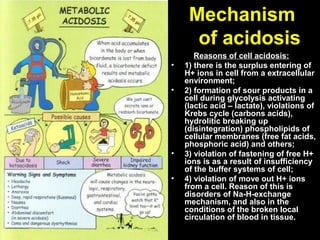 MechanismMechanism
of acidosisof acidosis
Reasons of cell acidosis:Reasons of cell acidosis:
• 1) there is the surplus entering of1) there is the surplus entering of
H+ ions in cell from a extracellularH+ ions in cell from a extracellular
environment;environment;
• 2) formation of sour products in a2) formation of sour products in a
cell during glycolysis activatingcell during glycolysis activating
(lactic acid – lactate), violations of(lactic acid – lactate), violations of
Krebs cycle (carbons acids),Krebs cycle (carbons acids),
hydrolitic breaking uphydrolitic breaking up
(disintegration) phospholipids of(disintegration) phospholipids of
cellular membranes (free fat acids,cellular membranes (free fat acids,
phosphoric acid) and others;phosphoric acid) and others;
• 3) violation of fastening of free H+3) violation of fastening of free H+
ions is as a result of insufficiencyions is as a result of insufficiency
of the buffer systems of cell;of the buffer systems of cell;
• 4) violation of move out H+ ions4) violation of move out H+ ions
from a cell. Reason of this isfrom a cell. Reason of this is
disorders of Na-H-exchangedisorders of Na-H-exchange
mechanism, and also in themechanism, and also in the
conditions of the broken localconditions of the broken local
circulation of blood in tissue.circulation of blood in tissue.
 