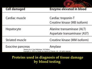 Proteins used in diagnosis of tissue damage
by blood testing
 