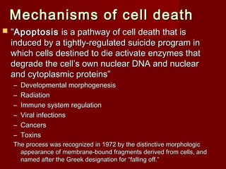 Mechanisms of cell deathMechanisms of cell death
 ““ApoptosisApoptosis is a pathway of cell death that isis a pathway of cell death that is
induced by a tightly-regulated suicide program ininduced by a tightly-regulated suicide program in
which cells destined to die activate enzymes thatwhich cells destined to die activate enzymes that
degrade the cell’s own nuclear DNA and nucleardegrade the cell’s own nuclear DNA and nuclear
and cytoplasmic proteins”and cytoplasmic proteins”
– Developmental morphogenesisDevelopmental morphogenesis
– RadiationRadiation
– Immune system regulationImmune system regulation
– Viral infectionsViral infections
– CancersCancers
– ToxinsToxins
The process was recognized in 1972 by the distinctive morphologicThe process was recognized in 1972 by the distinctive morphologic
appearance of membrane-bound fragments derived from cells, andappearance of membrane-bound fragments derived from cells, and
named after the Greek designation for “falling off.”named after the Greek designation for “falling off.”
 