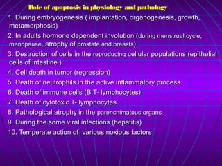Role of apoptosis in physiology and pathologyRole of apoptosis in physiology and pathology
1. During embryogenesis ( implantation, organogenesis, growth,1. During embryogenesis ( implantation, organogenesis, growth,
metamorphosis)metamorphosis)
2. In adults hormone dependent involution (2. In adults hormone dependent involution (during menstrual cycle,during menstrual cycle,
menopausemenopause, atrophy of, atrophy of prostate and breastsprostate and breasts))
3. Destruction of cells in the3. Destruction of cells in the reproducingreproducing cellular populations (epithelialcellular populations (epithelial
cells of intestine )cells of intestine )
4. Cell death in tumor (regression)4. Cell death in tumor (regression)
5. Death of neutrophils in the active inflammatory process5. Death of neutrophils in the active inflammatory process
6. Death of immune cells (B,T- lymphocytes)6. Death of immune cells (B,T- lymphocytes)
7. Death of cytotoxic T- lymphocytes7. Death of cytotoxic T- lymphocytes
8. Pathological atrophy in the8. Pathological atrophy in the parenchimatous organsparenchimatous organs
9. During the some viral infections (hepatitis)9. During the some viral infections (hepatitis)
10. Temperate action of various noxious factors10. Temperate action of various noxious factors
 