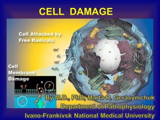 CELL DAMAGE
 