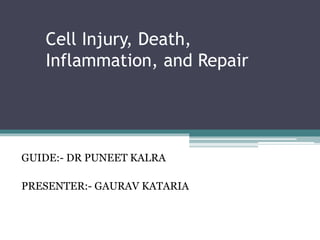 Cell Injury, Death,
Inflammation, and Repair
GUIDE:- DR PUNEET KALRA
PRESENTER:- GAURAV KATARIA
 
