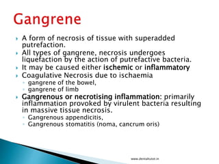  A form of necrosis of tissue with superadded
putrefaction.
 All types of gangrene, necrosis undergoes
liquefaction by the action of putrefactive bacteria.
 It may be caused either ischemic or inflammatory
 Coagulative Necrosis due to ischaemia
◦ gangrene of the bowel,
◦ gangrene of limb
 Gangrenous or necrotising inflammation: primarily
inflammation provoked by virulent bacteria resulting
in massive tissue necrosis.
◦ Gangrenous appendicitis,
◦ Gangrenous stomatitis (noma, cancrum oris)
www.dentaltutot.in
 