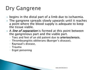  begins in the distal part of a limb due to ischaemia.
 The gangrene spreads slowly upwards until it reaches
a point where the blood supply is adequate to keep
the tissue viable.
 A line of separation is formed at this point between
the gangrenous part and the viable part.
◦ Toes and feet of an old patient due to arteriosclerosis.
◦ Thromboangiitis obliterans (Buerger’s disease),
◦ Raynaud’s disease,
◦ Trauma
◦ Ergot poisoning
www.dentaltutot.in
 