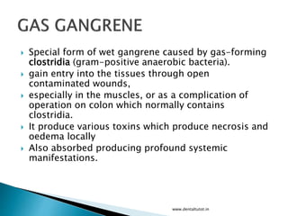  Special form of wet gangrene caused by gas-forming
clostridia (gram-positive anaerobic bacteria).
 gain entry into the tissues through open
contaminated wounds,
 especially in the muscles, or as a complication of
operation on colon which normally contains
clostridia.
 It produce various toxins which produce necrosis and
oedema locally
 Also absorbed producing profound systemic
manifestations.
www.dentaltutot.in
 