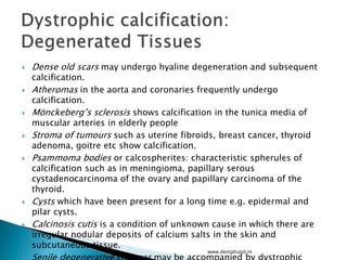  Dense old scars may undergo hyaline degeneration and subsequent
calcification.
 Atheromas in the aorta and coronaries frequently undergo
calcification.
 Mönckeberg’s sclerosis shows calcification in the tunica media of
muscular arteries in elderly people
 Stroma of tumours such as uterine fibroids, breast cancer, thyroid
adenoma, goitre etc show calcification.
 Psammoma bodies or calcospherites: characteristic spherules of
calcification such as in meningioma, papillary serous
cystadenocarcinoma of the ovary and papillary carcinoma of the
thyroid.
 Cysts which have been present for a long time e.g. epidermal and
pilar cysts.
 Calcinosis cutis is a condition of unknown cause in which there are
irregular nodular deposits of calcium salts in the skin and
subcutaneous tissue.
www.dentaltutot.in
 