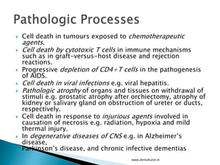  Cell death in tumours exposed to chemotherapeutic
agents.
 Cell death by cytotoxic T cells in immune mechanisms
such as in graft-versus-host disease and rejection
reactions.
 Progressive depletion of CD4+T cells in the pathogenesis
of AIDS.
 Cell death in viral infections e.g. viral hepatitis.
 Pathologic atrophy of organs and tissues on withdrawal of
stimuli e.g. prostatic atrophy after orchiectomy, atrophy of
kidney or salivary gland on obstruction of ureter or ducts,
respectively.
 Cell death in response to injurious agents involved in
causation of necrosis e.g. radiation, hypoxia and mild
thermal injury.
 In degenerative diseases of CNS e.g. in Alzheimer’s
disease,
Parkinson’s disease, and chronic infective dementias
www.dentaltutot.in
 