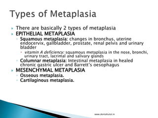  There are basically 2 types of metaplasia
 EPITHELIAL METAPLASIA
◦ Squamous metaplasia: changes in bronchus, uterine
endocervix, gallbladder, prostate, renal pelvis and urinary
bladder
 vitamin A deficiency: squamous metaplasia in the nose, bronchi,
urinary tract, lacrimal and salivary glands
◦ Columnar metaplasia: Intestinal metaplasia in healed
chronic gastric ulcer and Barrett’s oesophagus
 MESENCHYMAL METAPLASIA
◦ Osseous metaplasia.
◦ Cartilaginous metaplasia.
www.dentaltutot.in
 