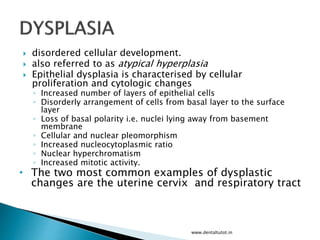  disordered cellular development.
 also referred to as atypical hyperplasia
 Epithelial dysplasia is characterised by cellular
proliferation and cytologic changes
◦ Increased number of layers of epithelial cells
◦ Disorderly arrangement of cells from basal layer to the surface
layer
◦ Loss of basal polarity i.e. nuclei lying away from basement
membrane
◦ Cellular and nuclear pleomorphism
◦ Increased nucleocytoplasmic ratio
◦ Nuclear hyperchromatism
◦ Increased mitotic activity.
• The two most common examples of dysplastic
changes are the uterine cervix and respiratory tract
www.dentaltutot.in
 