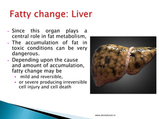 • Since this organ plays a
central role in fat metabolism,
• The accumulation of fat in
toxic conditions can be very
dangerous.
• Depending upon the cause
and amount of accumulation,
fatty change may be
• mild and reversible,
• or severe producing irreversible
cell injury and cell death
www.dentaltutot.in
 