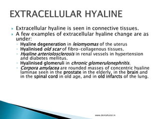  Extracellular hyaline is seen in connective tissues.
 A few examples of extracellular hyaline change are as
under:
◦ Hyaline degeneration in leiomyomas of the uterus
◦ Hyalinised old scar of fibro-collagenous tissues.
◦ Hyaline arteriolosclerosis in renal vessels in hypertension
and diabetes mellitus.
◦ Hyalinised glomeruli in chronic glomerulonephritis.
◦ Corpora amylacea are rounded masses of concentric hyaline
laminae seen in the prostate in the elderly, in the brain and
in the spinal cord in old age, and in old infarcts of the lung.
www.dentaltutot.in
 