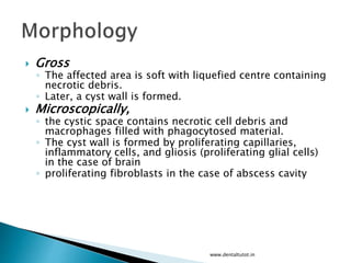  Gross
◦ The affected area is soft with liquefied centre containing
necrotic debris.
◦ Later, a cyst wall is formed.
 Microscopically,
◦ the cystic space contains necrotic cell debris and
macrophages filled with phagocytosed material.
◦ The cyst wall is formed by proliferating capillaries,
inflammatory cells, and gliosis (proliferating glial cells)
in the case of brain
◦ proliferating fibroblasts in the case of abscess cavity
www.dentaltutot.in
 