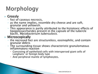  Grossly
◦ foci of caseous necrosis,
◦ as the name implies, resemble dry cheese and are soft,
granular and yellowish.
◦ This appearance is partly attributed to the histotoxic effects of
lipopolysaccharides present in the capsule of the tubercle
bacilli, Mycobacterium tuberculosis.
 Microscopically
◦ the necrosed foci are structureless, eosinophilic, and contain
granular debris
◦ The surrounding tissue shows characteristic granulomatous
inflammatory reaction
 Consisting of epithelioid cells with interspersed giant cells of
Langhans’ or foreign body type
 And peripheral mantle of lymphocytes.
www.dentaltutot.in
 