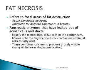  Refers to focal areas of fat destruction
◦ Acute pancreatic necrosis,
◦ traumatic fat necrosis commonly in breasts
 Pancreatic enzymes that have leaked out of
acinar cells and ducts
◦ liquefy the membranes of fat cells in the peritoneum.
◦ lipases split the triglyceride esters contained within fat
cells to fatty acid.
◦ These combines calcium to produce grossly visible
chalky white areas (fat saponification)
www.dentaltutot.in
 