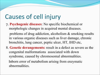 Causes of cell injury
7. Psychogenic diseases: No specific biochemical or
morphologic changes in acquired mental diseases.
problems of drug addiction, alcoholism & smoking results
in various organic diseases such as liver damage, chronic
bronchitis, lung cancer, peptic ulcer, HT, IHD etc,
8. Genetic derangements: result in a defect as severe as the
congenital malformations associated with down
syndrome, caused by chromosomal abnormalities.
Inborn error of metabolism arising from enzymatic
abnormalities.
 