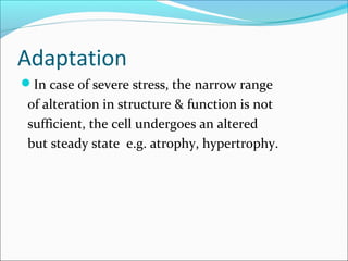 Adaptation
In case of severe stress, the narrow range
of alteration in structure & function is not
sufficient, the cell undergoes an altered
but steady state e.g. atrophy, hypertrophy.
 