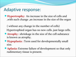Adaptive response:
Hypertrophy: An increase in the size of cells and
,with such change ,an increase in the size of the organ
( without any change in the number of cells)
Hypertrophied organ has no new cells ,just large cells.
Atrophy : shrinkage in the size of the cell substance
is known as atrophy.
Hypoplasia : Term used for developmentally small
size.
Aplasia: Extreme failure of development so that only
rudimentary tissue is present.
 