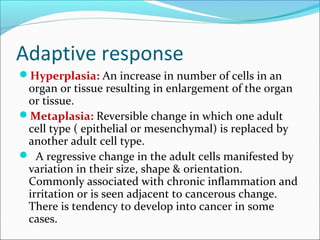 Adaptive response
Hyperplasia: An increase in number of cells in an
organ or tissue resulting in enlargement of the organ
or tissue.
Metaplasia: Reversible change in which one adult
cell type ( epithelial or mesenchymal) is replaced by
another adult cell type.
 A regressive change in the adult cells manifested by
variation in their size, shape & orientation.
Commonly associated with chronic inflammation and
irritation or is seen adjacent to cancerous change.
There is tendency to develop into cancer in some
cases.
 