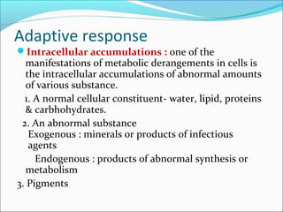 Adaptive response
Intracellular accumulations : one of the
manifestations of metabolic derangements in cells is
the intracellular accumulations of abnormal amounts
of various substance.
1. A normal cellular constituent- water, lipid, proteins
& carbhohydrates.
2. An abnormal substance
Exogenous : minerals or products of infectious
agents
Endogenous : products of abnormal synthesis or
metabolism
3. Pigments
 