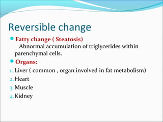 Reversible change
Fatty change ( Steatosis)
Abnormal accumulation of triglycerides within
parenchymal cells.
Organs:
1. Liver ( common , organ involved in fat metabolism)
2.Heart
3. Muscle
4.Kidney
 