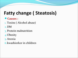 Fatty change ( Steatosis)
Causes :
1. Toxins ( Alcohol abuse)
2.DM
3. Protein malnutrition
4.Obesity
5.Anoxia
6.kwashiorkor in children
 