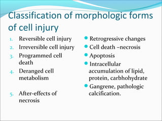 Classification of morphologic forms
of cell injury
1. Reversible cell injury
2. Irreversible cell injury
3. Programmed cell
death
4. Deranged cell
metabolism
5. After-effects of
necrosis
Retrogressive changes
Cell death –necrosis
Apoptosis
Intracellular
accumulation of lipid,
protein, carbhohydrate
Gangrene, pathologic
calcification.
 