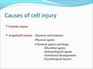 Causes of cell injury
Genetic causes
Acquired causes -Hypoxia and ischemia
-Physical agents
-Chemical agents and drugs
-Microbial agents
-Immunological agents
-Nutritional derangements
-Psychological factors
 