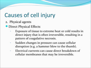 Causes of cell injury
2. Physical agents
Direct Physical Effects
- Exposure of tissue to extreme heat or cold results in
direct injury that is often irreversible, resulting in a
pattern of coagulative necrosis.
- Sudden changes in pressure can cause cellular
disruption (e.g. a hammer blow to the thumb).
- Electrical currents can cause direct breakdown of
cellular membranes that may be irreversible.
 
