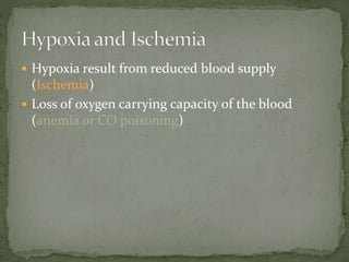  Hypoxia result from reduced blood supply
(Ischemia)
 Loss of oxygen carrying capacity of the blood
(anemia or CO poisoning)
 