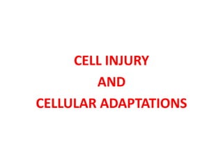 CELL INJURY
AND
CELLULAR ADAPTATIONS
 