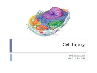 Cell Injury
Dr Kamran Afzal
MBBS, FCPS, PhD
 