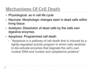 Mechanisms Of Cell Death
 Physiological, as in cell life cycle
 Necrosis: Morphologic changes seen in dead cells within
living tissue
 Autolysis: Dissolution of dead cells by the cells own
digestive enzymes
 Apoptosis: Programmed cell death
 “Apoptosis is a pathway of cell death that is induced by a
tightly-regulated suicide program in which cells destined
to die activate enzymes that degrade the cell’s own
nuclear DNA and nuclear and cytoplasmic proteins”
 