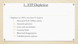 Cell injury | PPTX