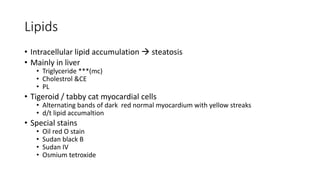 Lipids
• Intracellular lipid accumulation  steatosis
• Mainly in liver
• Triglyceride ***(mc)
• Cholestrol &CE
• PL
• Tigeroid / tabby cat myocardial cells
• Alternating bands of dark red normal myocardium with yellow streaks
• d/t lipid accumaltion
• Special stains
• Oil red O stain
• Sudan black B
• Sudan IV
• Osmium tetroxide
 