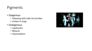 Pigments
• Exogenous
• Tattooing with india ink /cinnbar
• Carbon in lungs
• Endogenous
• Lipofuschin
• Melanin
• Haemosiderin
 