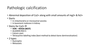 Pathologic calcification
• Abnormal deposition of Ca2+ along with small amounts of mg2+ & fe2+
• Starts
• In mitochondria or microsomal vesicles
• In basement mebrane in kidney
• Stains for Ca2+
• VON – KOSSA (BEST)
• ALIZARIN RED-S
• Calcein stain
• Tetracycline labelling index (best method to detect bone demineralisation)
• 2 types
• Dystrophic
• Metastatic
 