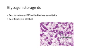 Glycogen storage ds
• Best carmine or PAS with diastase sensitivity
• Best fixative is alcohol
 