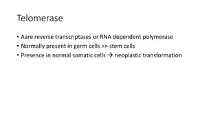 Telomerase
• Aare reverse transcriptases or RNA dependent polymerase
• Normally present in germ cells >> stem cells
• Presence in normal somatic cells  neoplastic transformation
 